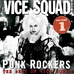 Punk Rockers: The Best of Vice Squad
