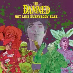 Not Like Everybody Else Not Like Everybody Else
