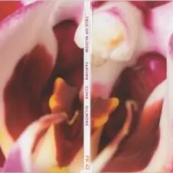 Trio of Bloom