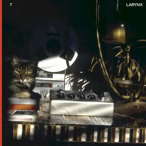 Larynx