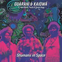 Shamans in Space