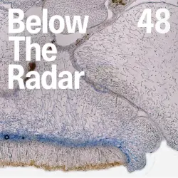 Below the Radar 48 Below the Radar 48