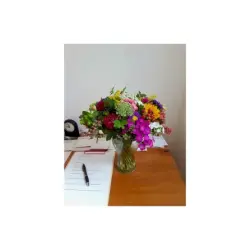 Therapy Flowers Therapy Flowers