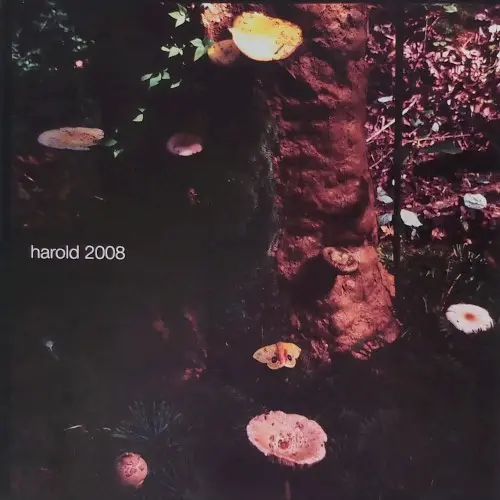Harold 2008