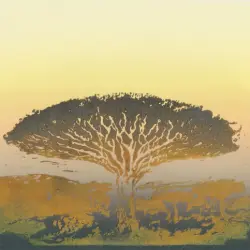 Various Artists 005