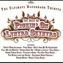 The Best of Pickin' on Lynyrd Skynyrd