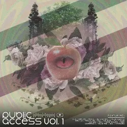 Public Access Vol. 1 Public Access Vol. 1