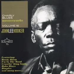 Charly Blues Masterworks Volume 16 - John Lee Hooker Charly Blues Masterworks Volume 16 - John Lee Hooker
