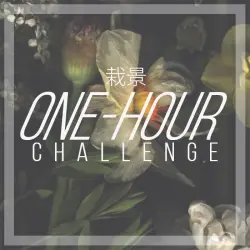 One-Hour Challenge
