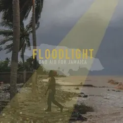 FLOODLIGHT: DNB AID FOR JAMAICA FLOODLIGHT: DNB AID FOR JAMAICA