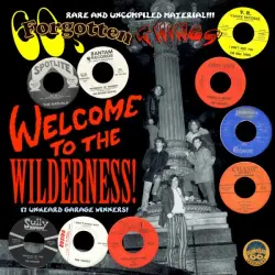 60's Forgotten Things Vol. 1 - Welcome To The Wilderness! 60's Forgotten Things Vol. 1 - Welcome To The Wilderness!