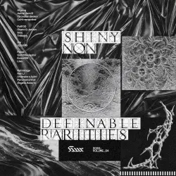 shiny.non.definable.rarities.04 shiny.non.definable.rarities.04