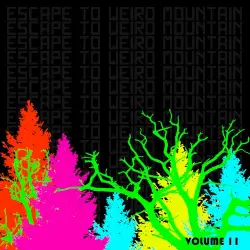 Escape To Weird Mountain, Volume 11 (MIRAC Benefit)
