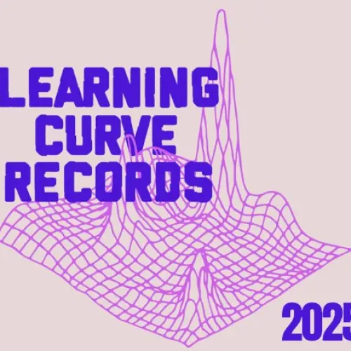 Learning Curve Records 2025