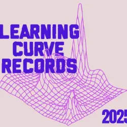 Learning Curve Records 2025