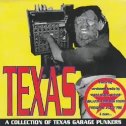 Texas - A Collection Of Texas Garage Punkers