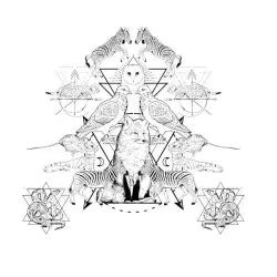 Metamorphosis Metamorphosis