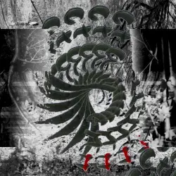 Serpents and Shallows