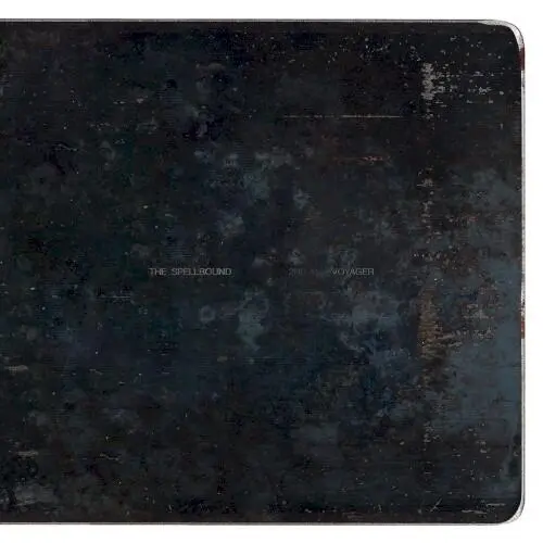 Voyager