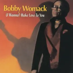 (I Wanna) Make Love To You