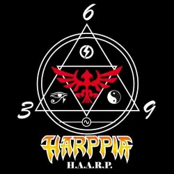 3.6.9. HAARP