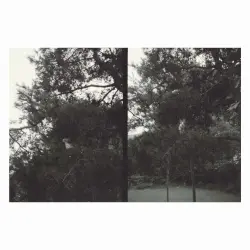 just like any other day (어느날): background music for your mundane activities