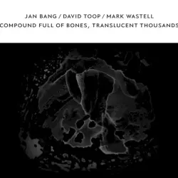 Compound Full of Bones, Translucent Thousands