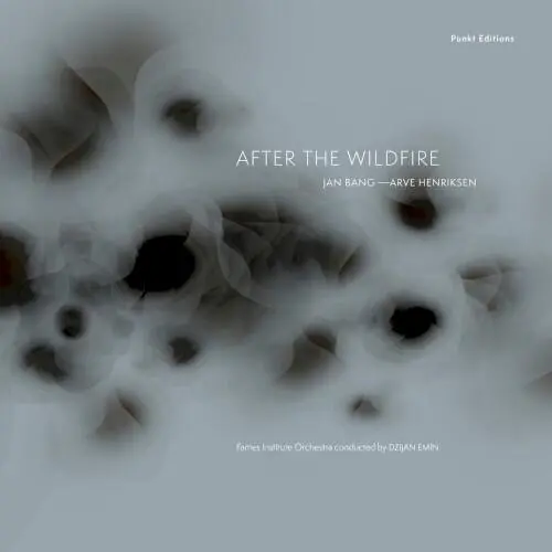 After the Wildfire