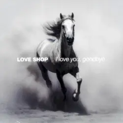 I love you, goodbye I love you, goodbye