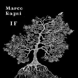 IF IF