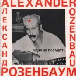 Меня не посадить