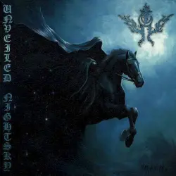 Unveiled Nightsky
