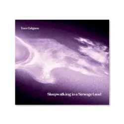 Sleepwalking in a Strange Land