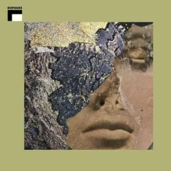 Percolation