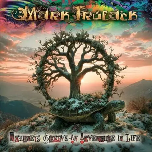Journey’s Groove – An Adventure in Life