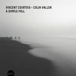 A Simple Fall