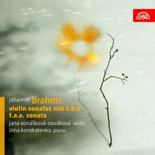 Violin Sonatas