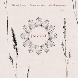 Jaggat