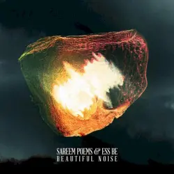 Beautiful Noise