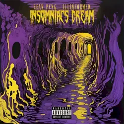 Insomniacs Dream