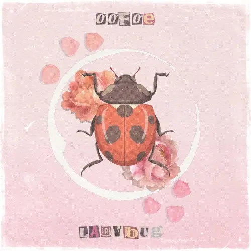 ladybug