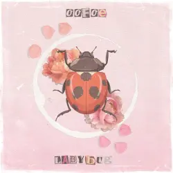 ladybug