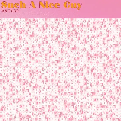 Such a Nice Guy