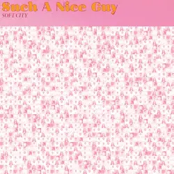 Such a Nice Guy