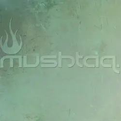 Mushtaq