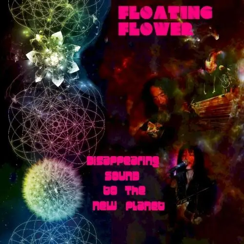 Disappearing Sound to the New Planet