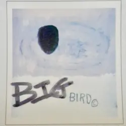 Big Bird Big Bird