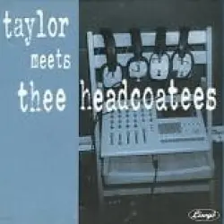 Taylor Meets Thee Headcoatees