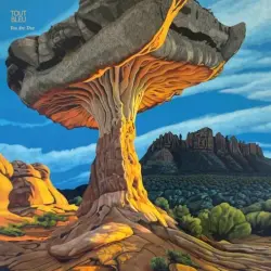 You Are Tree