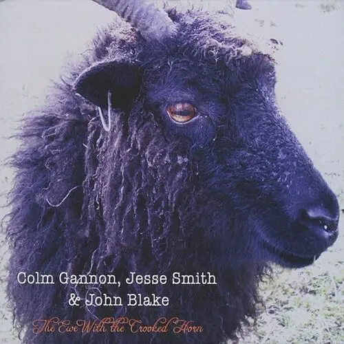 The Ewe With the Crooked Horn